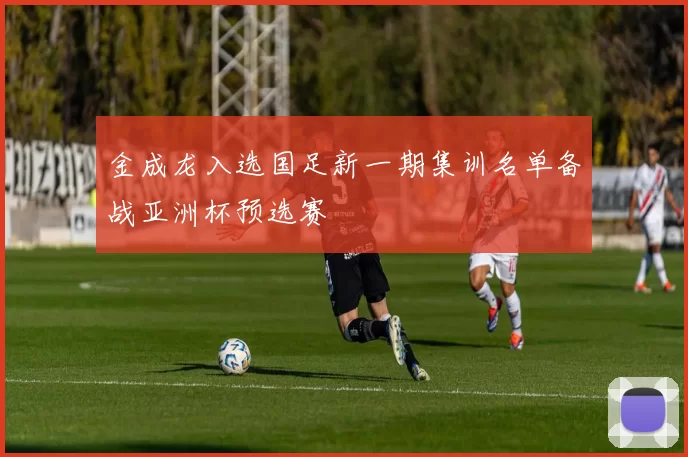 金成龙入选国足新一期集训名单备战亚洲杯预选赛