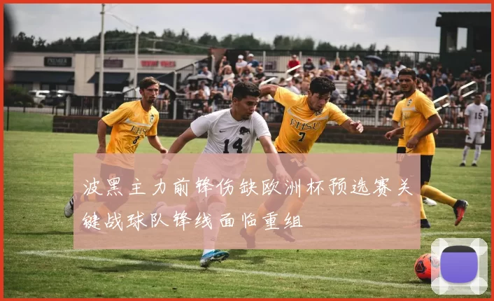 波黑主力前锋伤缺欧洲杯预选赛关键战球队锋线面临重组