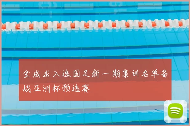 金成龙入选国足新一期集训名单备战亚洲杯预选赛