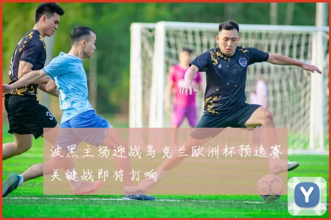 波黑主场迎战乌克兰欧洲杯预选赛关键战即将打响