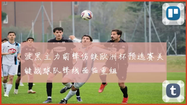 波黑主力前锋伤缺欧洲杯预选赛关键战球队锋线面临重组