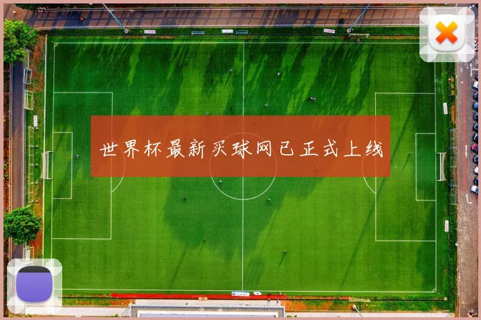 世界杯最新买球网已正式上线